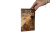 Divocí koně