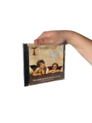 Anděl - výběr skladeb oceněných interpetů za rok 2001 - CD