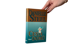 Cesta domů